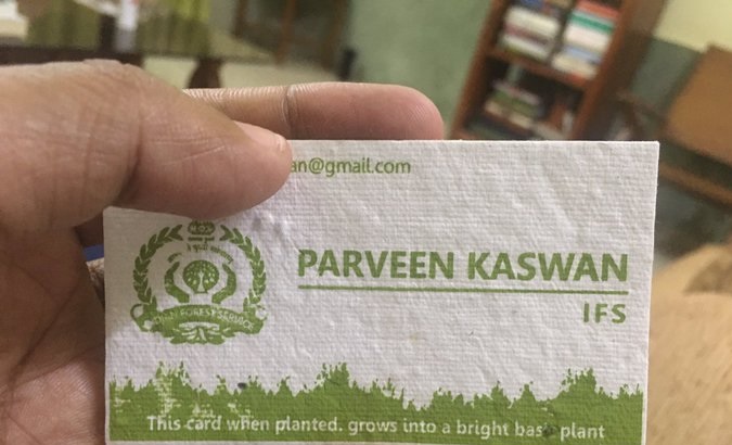 Plantable visiting cards - A new trend