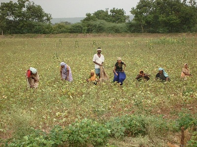 PM Kisan funds are likely to be increased