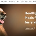 Canine India offers pet food