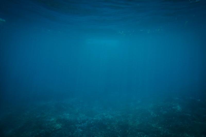 Chennai couple marries underwater     