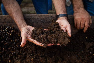 Youth makes organic fertilizer and sells cheaper