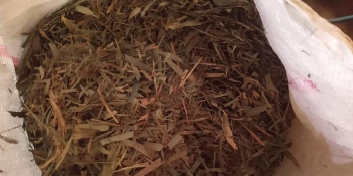 Man exports bamboo leaf tea to Europe