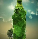 Biodegradable paper bottles