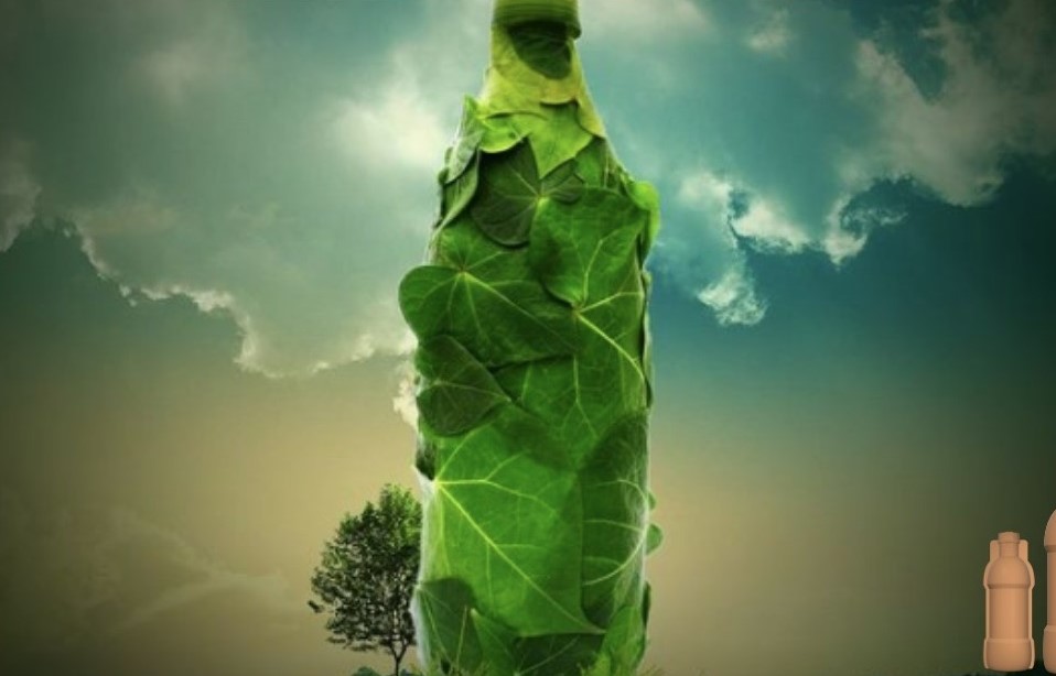 Biodegradable paper bottles