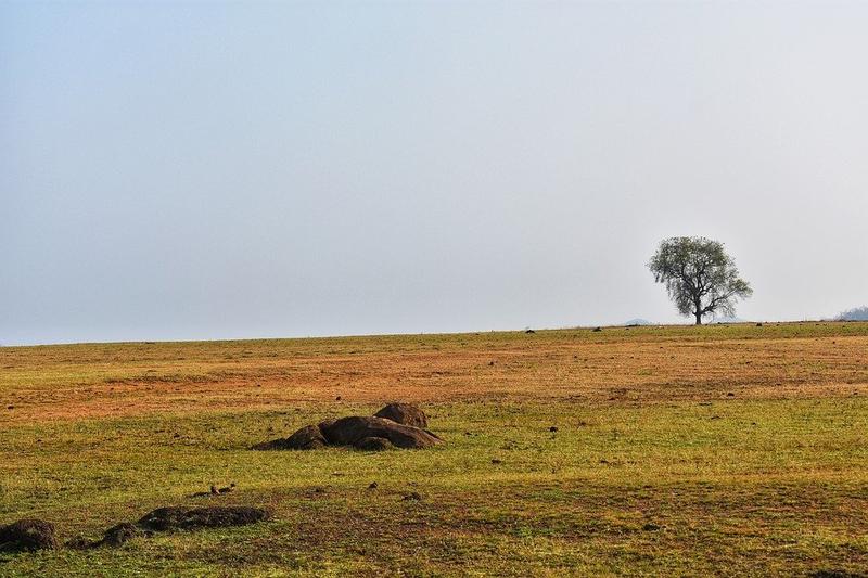 Chhattisgarh to provide ₹6,000 to landless families