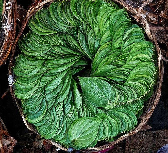 Benefits of Betel leaves