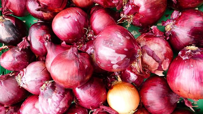 Girl makes eco-friendly paper from vegetable peels