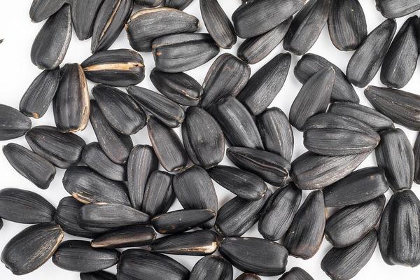 Health Benefits of sunflower seeds