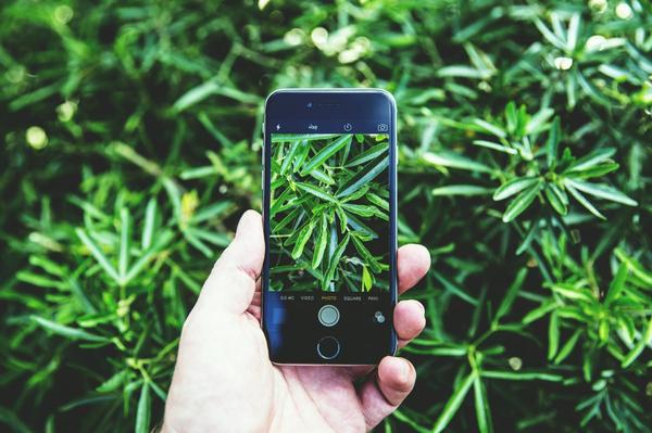 Portable device to check soil health