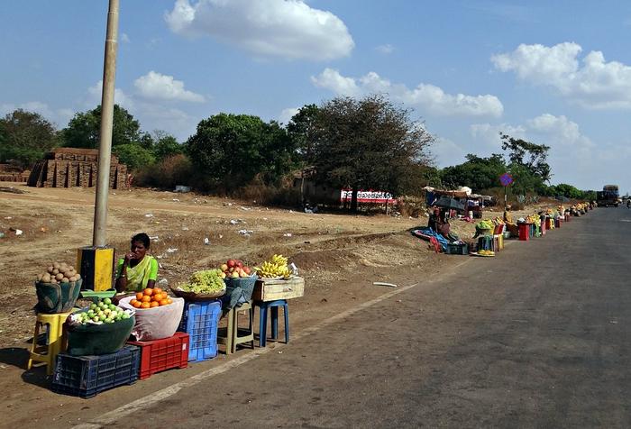 PM SVANidhi scheme offers micro-credit to street vendors