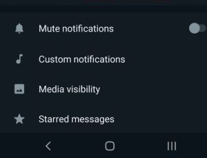 Set custom ringtones for calls and messages on WhatsApp