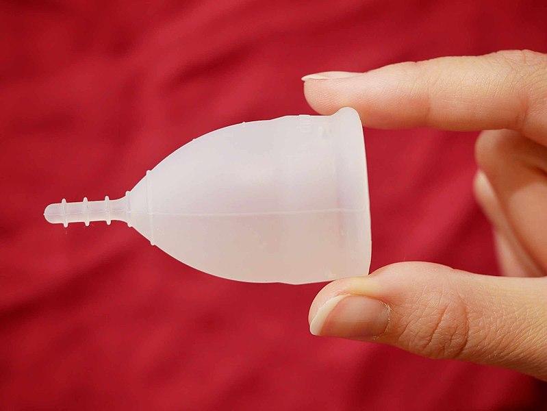 The first Panchayat in Kerala that allocates funds for menstrual cups