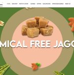 Punjabi girl earns crores with organic jaggery