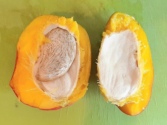 Health benefits of mango seeds