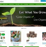 SeedBasket offers home gardening seeds