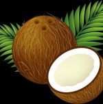 Tengin offers coconut products