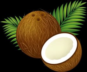 Tengin offers coconut products