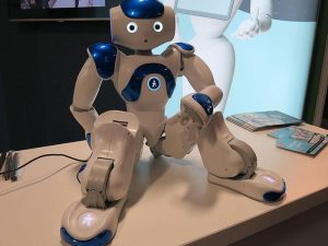 Shiksha, a humanoid robot that teaches primary students