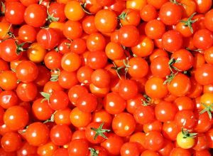 Centre decides to reduce the subsidized price of tomatoes