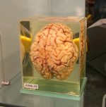 Scandium Nitride Unveils Breakthrough in Brain-Like Computing