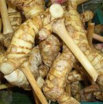 Galangal: The Root of Health Benefits
