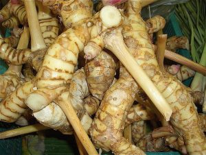 Galangal: The Root of Health Benefits