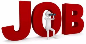 RCFL Recruitment 2023: 408 Apprentice vacancies open