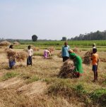 India's ambitious ₹30,000 crore plan to broaden crop insurance