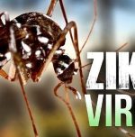 Zika Virus detected in Karnataka's Chikkaballapur district sparks health alert