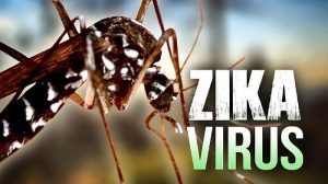 Zika Virus detected in Karnataka's Chikkaballapur district sparks health alert