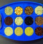 Health Sutra's millet magic for a healthier you