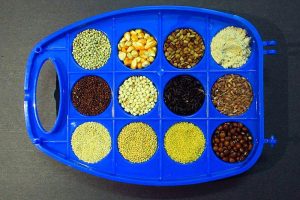 Health Sutra's millet magic for a healthier you