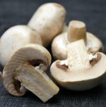 Jeevan Mushroom revolutionizes mushroom farming in Rajasthan