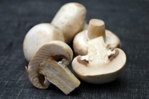 Jeevan Mushroom revolutionizes mushroom farming in Rajasthan