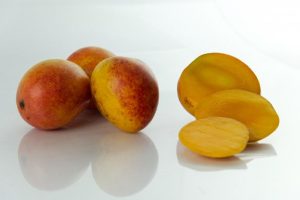 Mango marvel: The Jhariya family's orchard odyssey