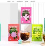 Woolah: Revolutionizing tea with eco-Friendly innovation