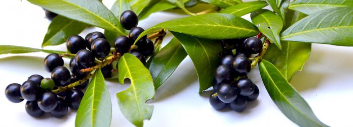 The hidden dangers of food packaging and how to avoid toxic-free food