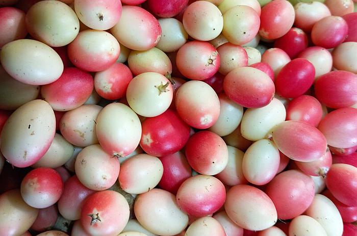 Karonda: A nutritious fruit with multiple health benefits