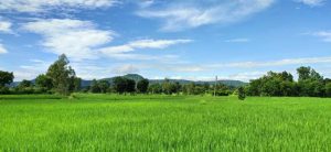 Empowering blind farmers: Smart farming through technology