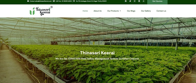 Thinasari Keerai bringing spinach back