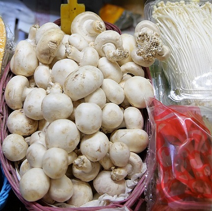 Doctor Dahiya Mushroom Farm: A journey of persistence and success