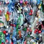 Get a meal in India’s unique garbage café