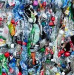 Get a meal in India’s unique garbage café