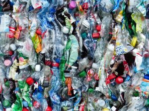 Get a meal in India’s unique garbage café