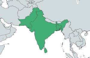 India asserts firm stand against cross-border terrorism amid global outreach