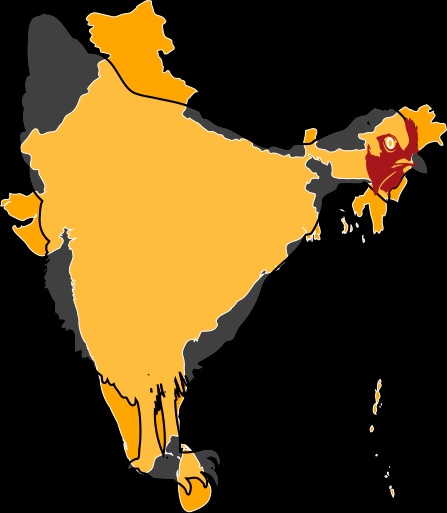 India’s strategic moves amid the China-Bangladesh alliance