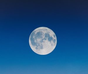 Ashadha Purnima: A day to honour Gurus and embrace wisdom