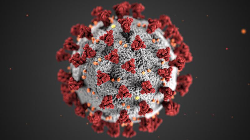 New COVID-19 subvariants fuel case surge across India