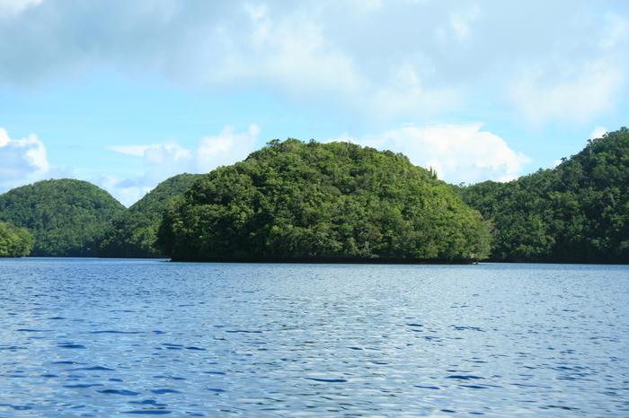 Paradise without a visa: Palau opens doors to Indian tourists