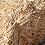 Rafter’s bold leap into sustainability, from cold calls to green gifting